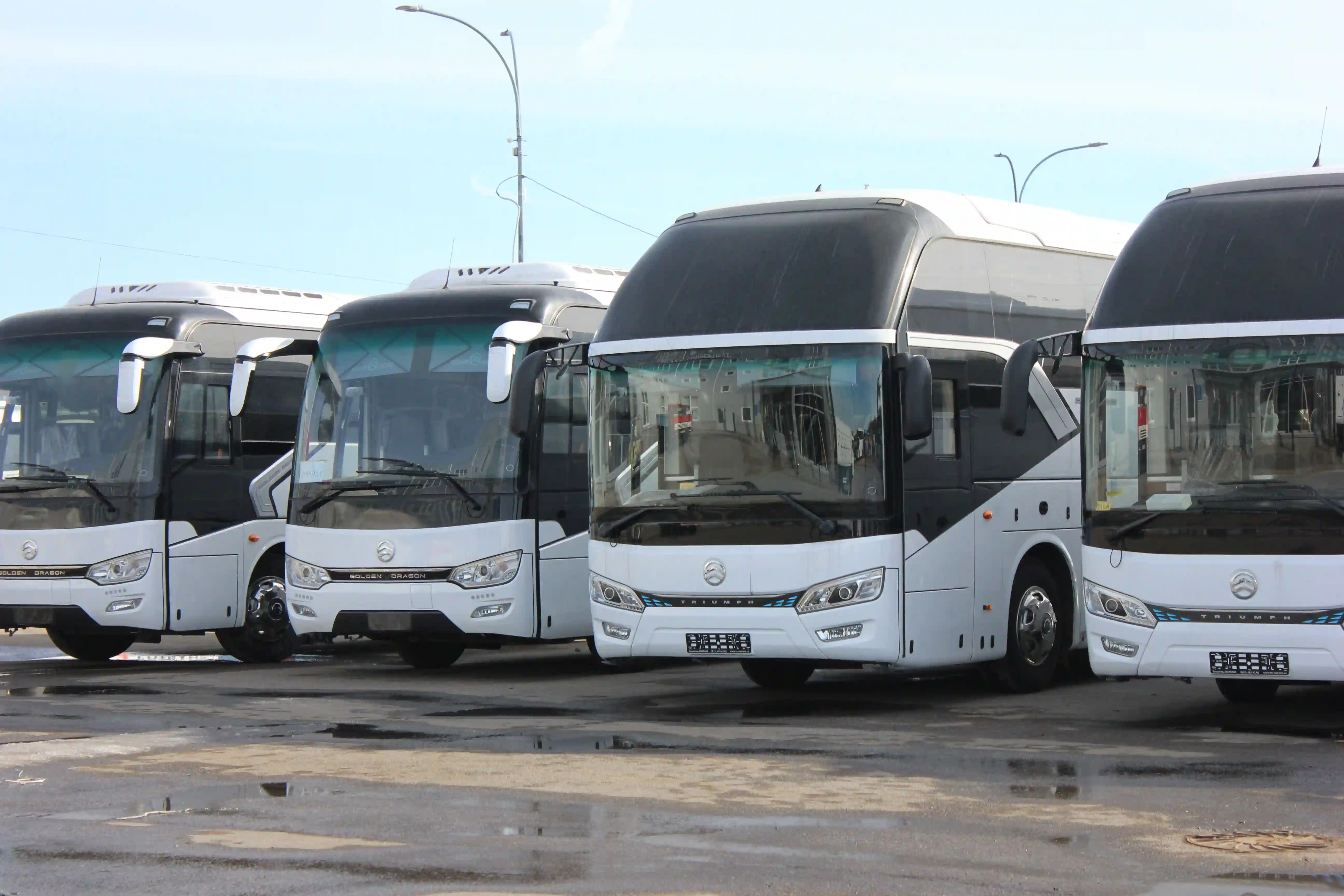 ГК «СОТРАНС» презентовала в Ленобласти автобусы Golden Dragon